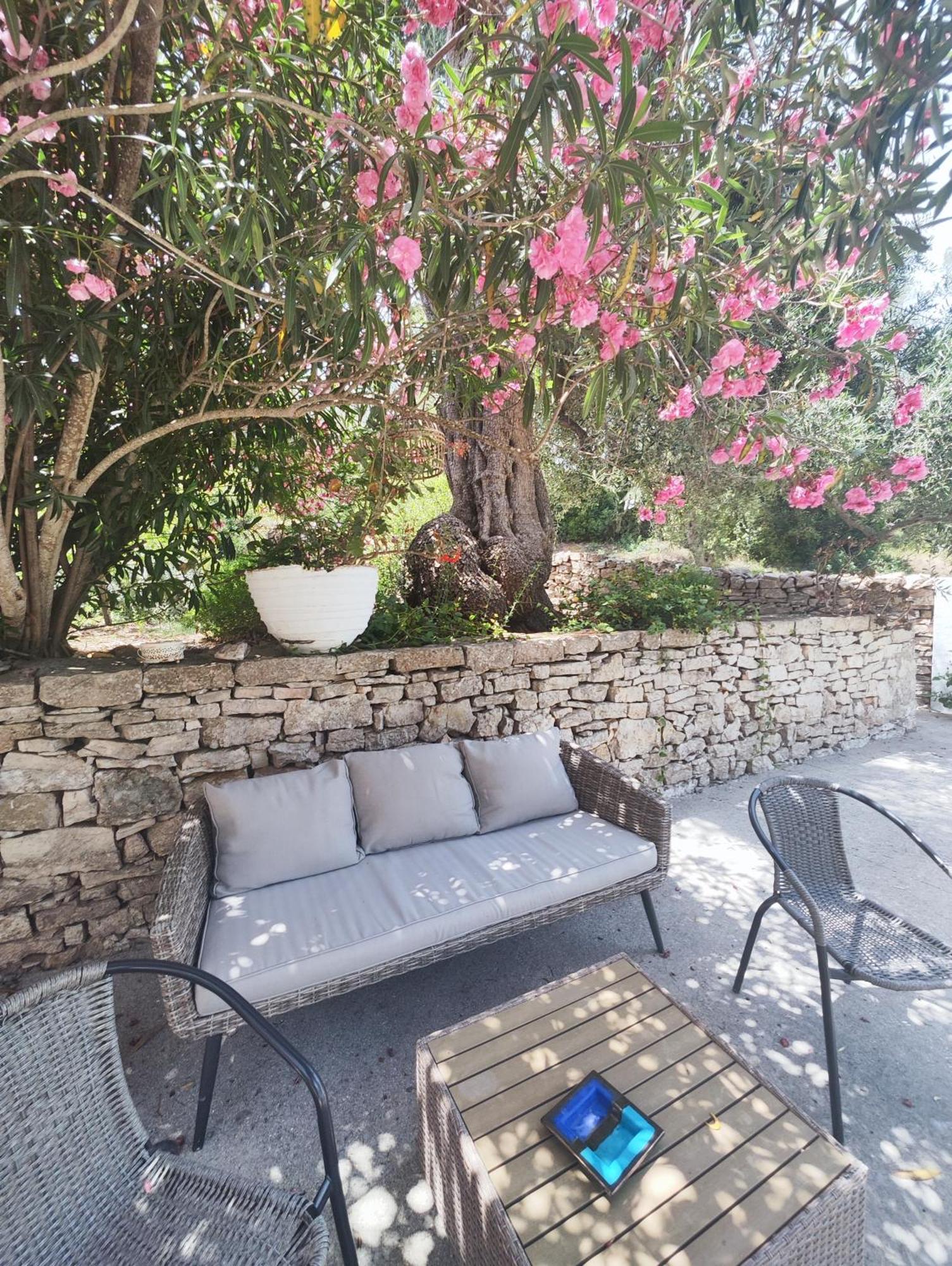 Lákka Rania'S Cottage المظهر الخارجي الصورة