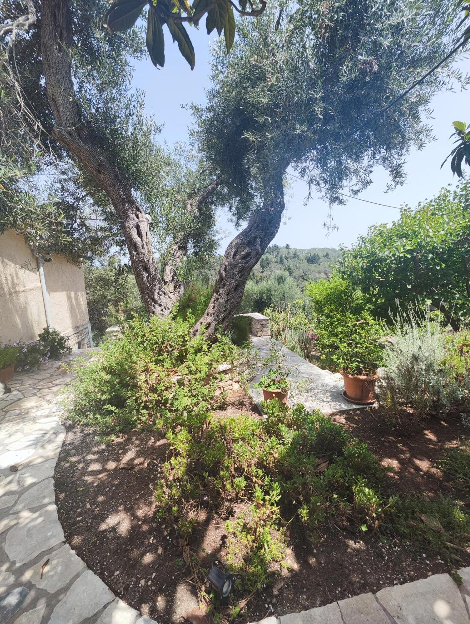 Lákka Rania'S Cottage المظهر الخارجي الصورة