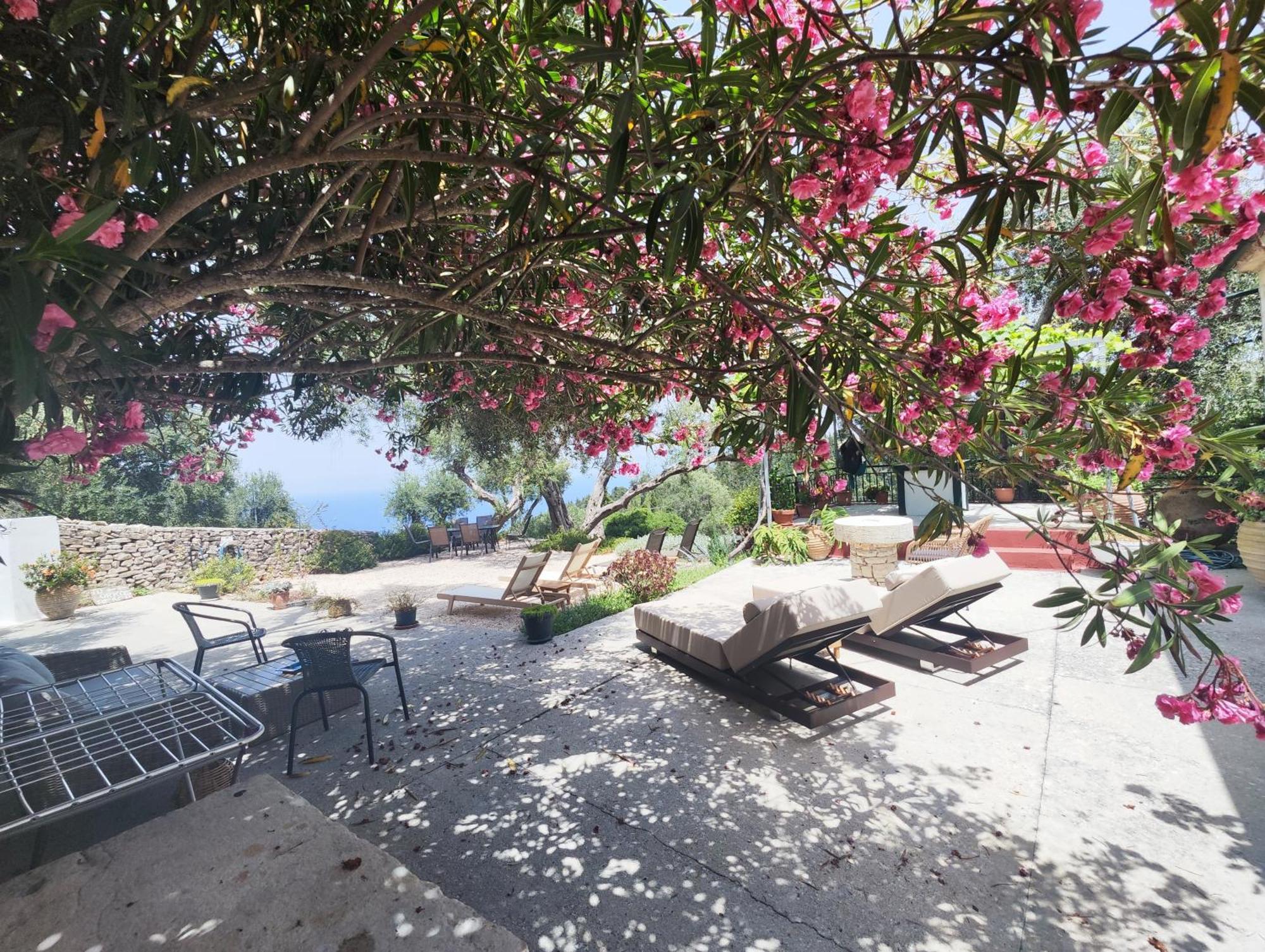 Lákka Rania'S Cottage المظهر الخارجي الصورة