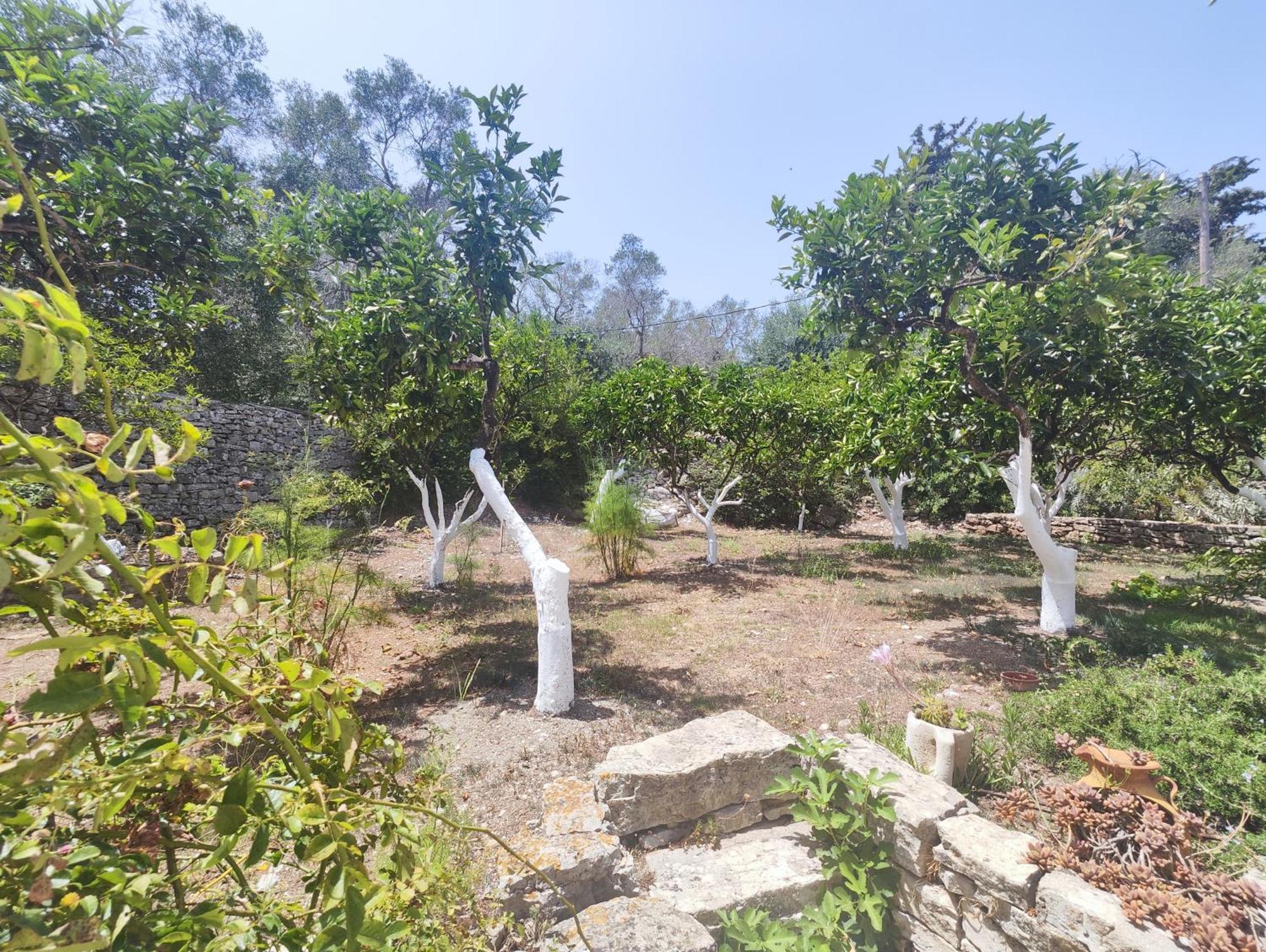 Lákka Rania'S Cottage المظهر الخارجي الصورة